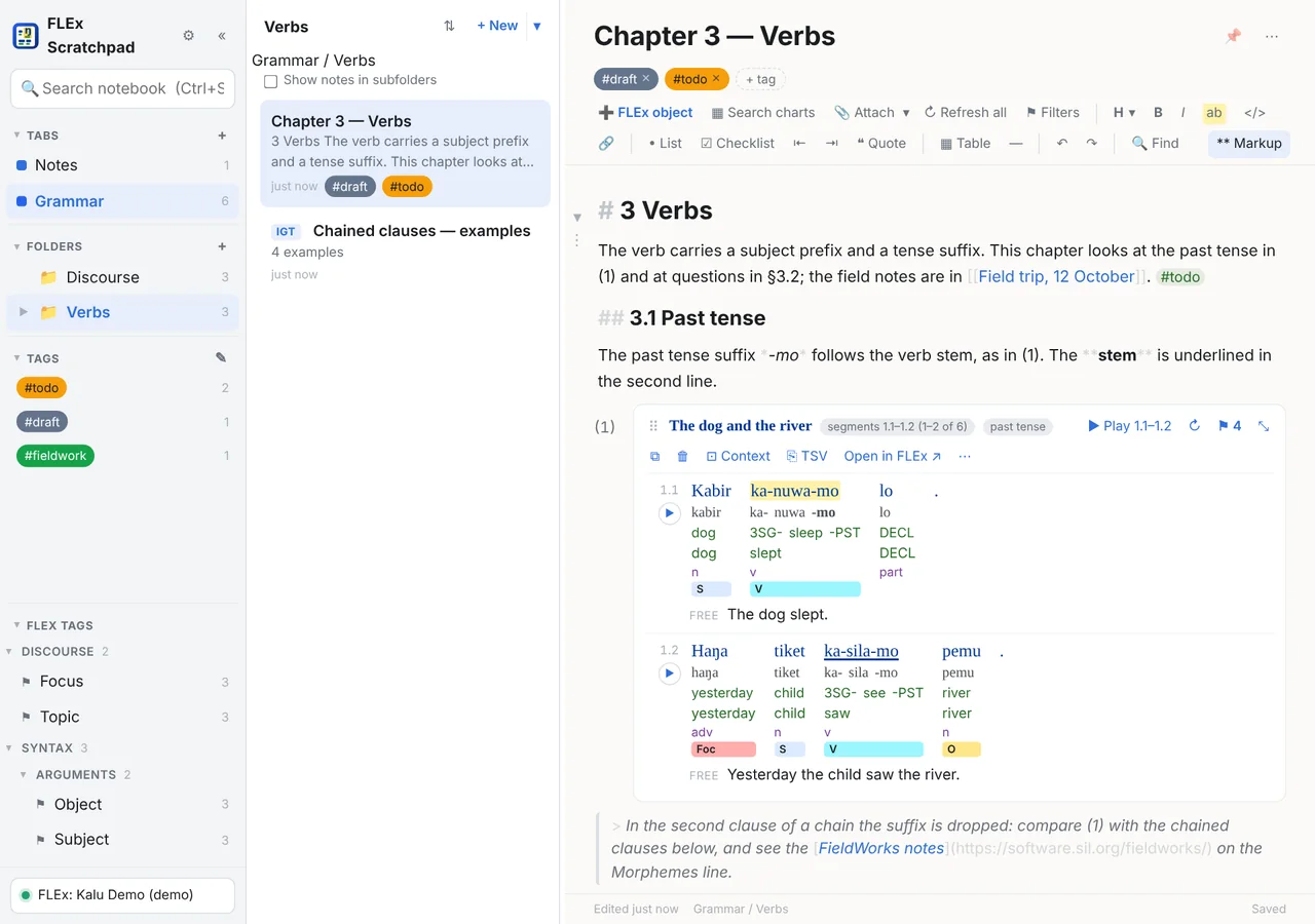 The whole window: the left pane with tabs, folders, tags and FLEx tags; the note list; and the open note with a numbered interlinear example, a table and a checklist