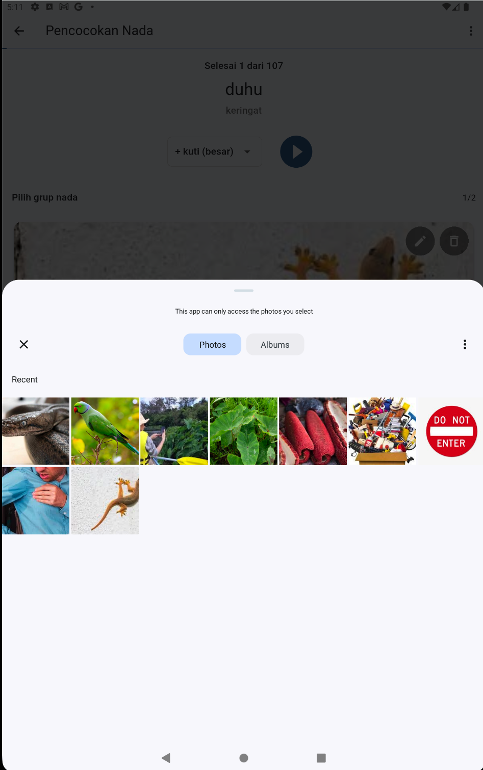 Mobile App - Tone Group Selection showing mobile interface with tone groups